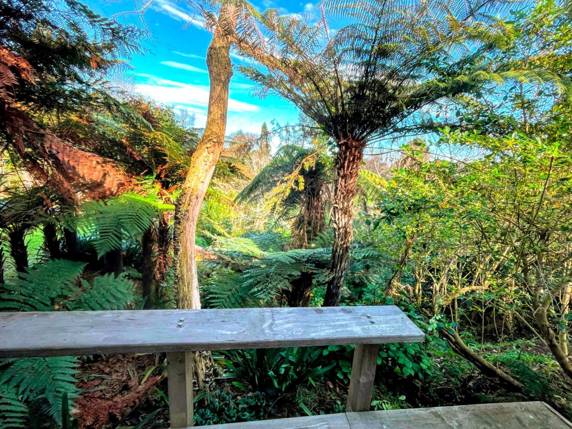 Gully Hideaway Apartment هاملتون المظهر الخارجي الصورة