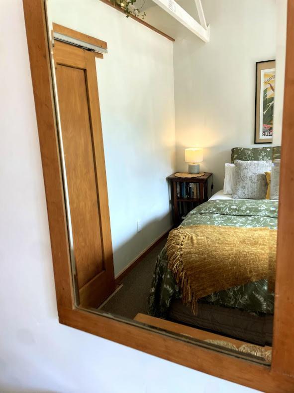 Gully Hideaway Apartment هاملتون المظهر الخارجي الصورة